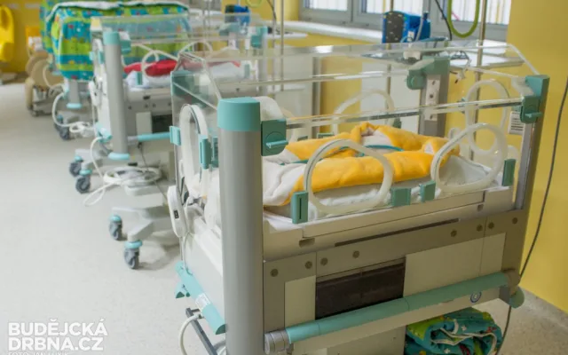 Porodnice a neonatologie