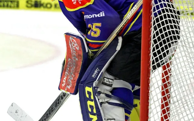 David Gába