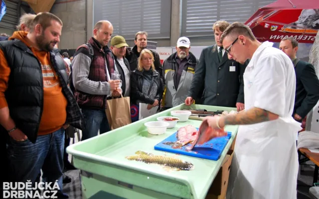 Gastrofest