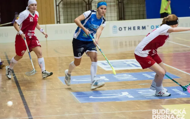 FBC Štíři Č. Budějovice - FBŠ Teiwaz Hranice