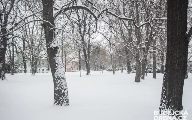 Zasněžené Budějce