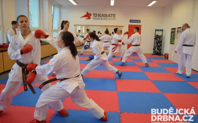 Trénink karatistů TJ Karate České Budějovice