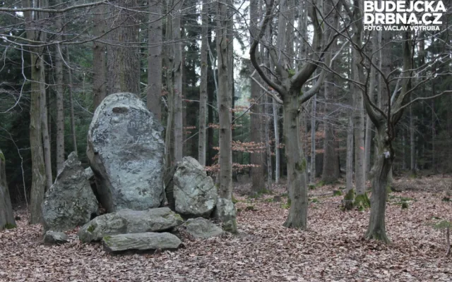 Trocnov