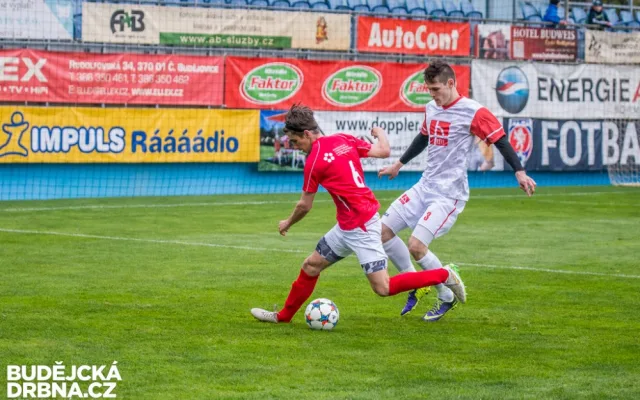 Jihočeská univerzita - Vysoká škola technická a ekonomická