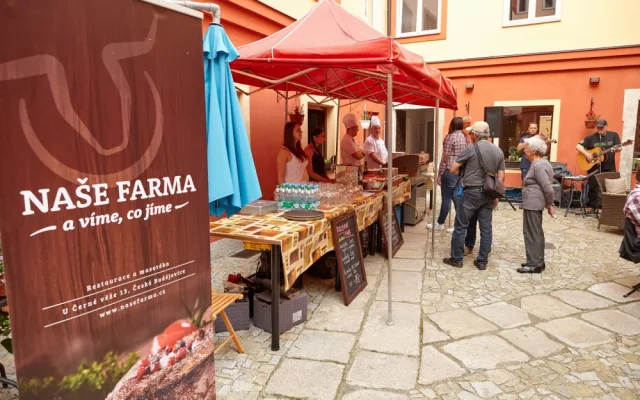 Muzeum cestopisné literatury v Českých Budějovicích