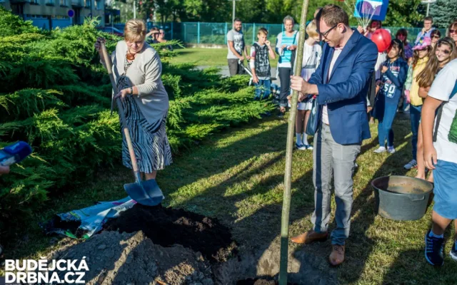 Základní škola Emy Destinnové