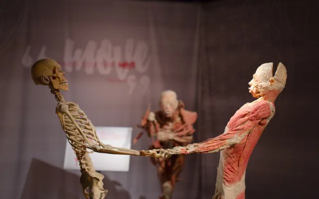 Výstava Body The Exhibition