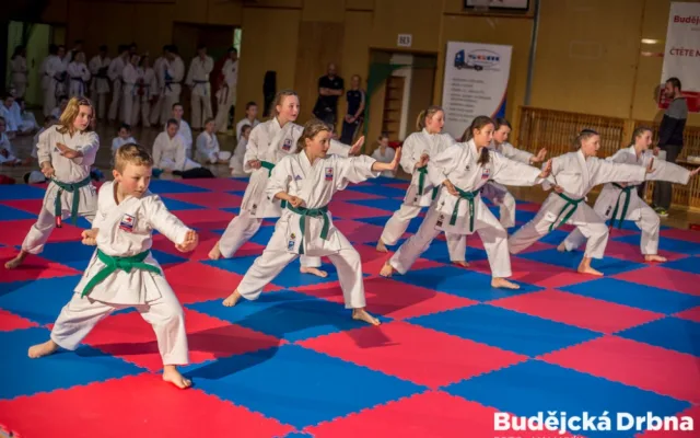 Exhibice TJ Karate České Budějovice