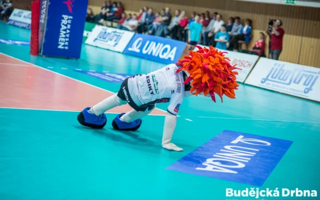 VK České Budějovice – VK Euro Sitex Příbram