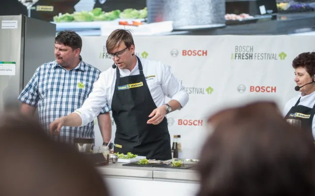 Bosch Fres Festival v Českých Budějovicích-