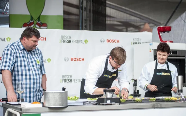 Bosch Fres Festival v Českých Budějovicích-