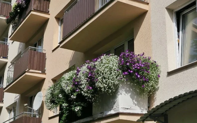 Rozkvetlé město
