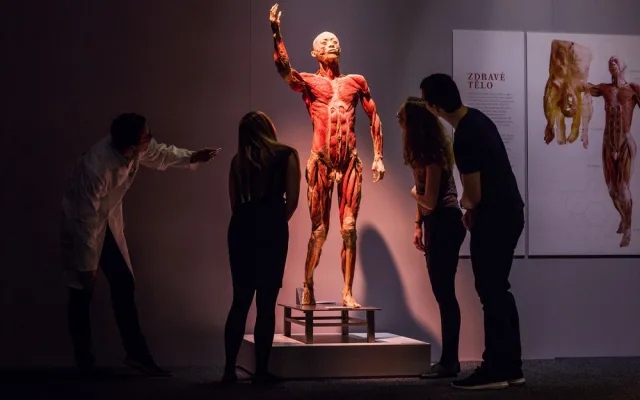 Výstava Body The Exhibition.
