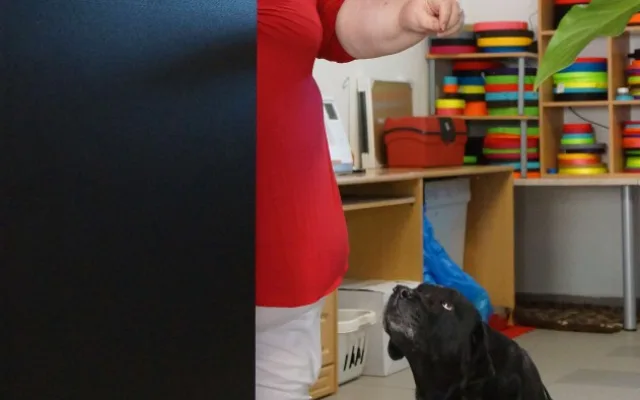 Romana Vlčková se svou labradorkou Aireen v obchodě v Jírovcově ulici v Českých Budějovicích.