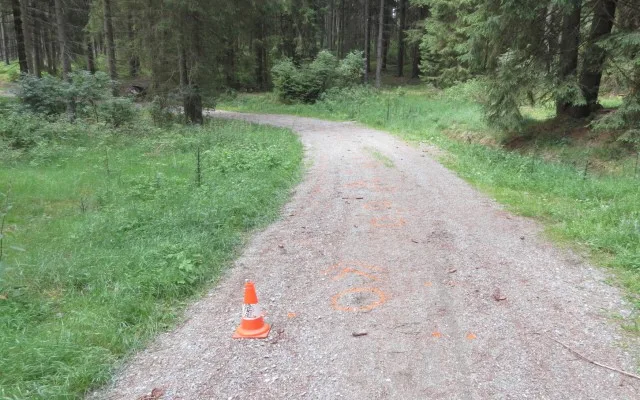 Cesta, na které kočár havaroval