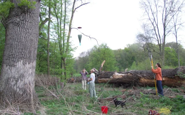 Mapovani jihomoravských luhů
