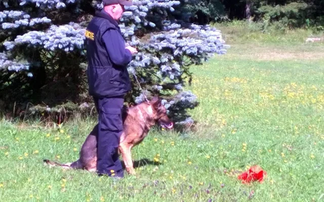 Prachatický policejní psovod Jaroslav Čejka a jeho německý ovčák Chasan se umístili na krásné druhé příčce a stali se tak vicemistrem ve vyhledávání drog.