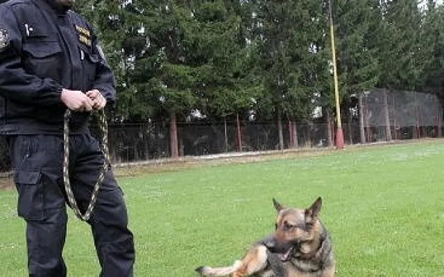 Prachatický policejní psovod Jaroslav Čejka a jeho německý ovčák Chasan se umístili na krásné druhé příčce a stali se tak vicemistrem ve vyhledávání drog.