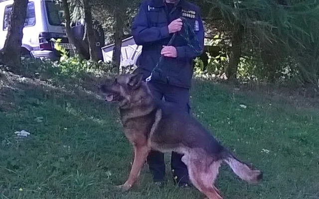 Prachatický policejní psovod Jaroslav Čejka a jeho německý ovčák Chasan se umístili na krásné druhé příčce a stali se tak vicemistrem ve vyhledávání drog.