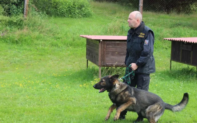 Prachatický policejní psovod Jaroslav Čejka a jeho německý ovčák Chasan se umístili na krásné druhé příčce a stali se tak vicemistrem ve vyhledávání drog.