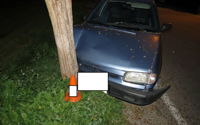 Opilý muž z Lipenska naboural ve Větřní do stromu.