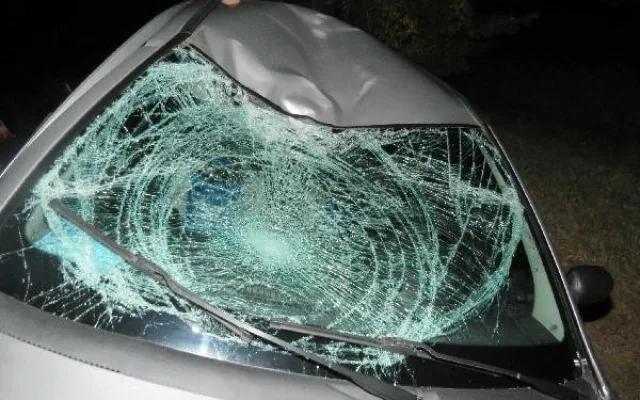 K tragické nehodě došlo ve čtvrtek 12. října kolem osmé hodiny večer na silnici u Dunajovic na Jindřichohradecku. Při střetu s osobním autem tam zemřel cyklista.