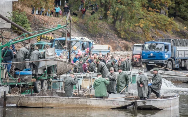 Slavnostní výlov Rožmberku je za námi. Akce přílákala masy lidí