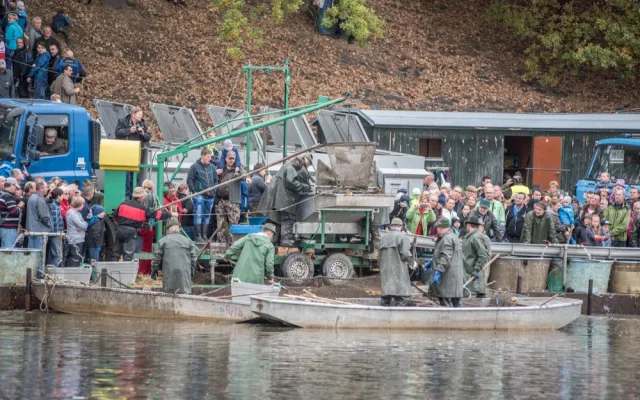 Slavnostní výlov Rožmberku je za námi. Akce přílákala masy lidí