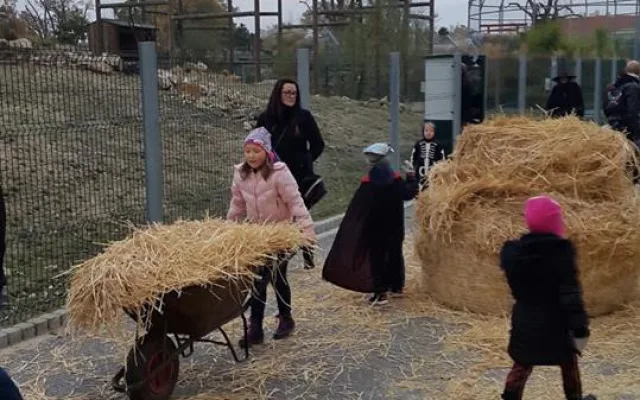 Strašidelná Zoo