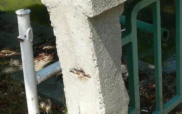 Stavební úpravy mostu přes Mlýnskou stoku v Krajinské ulici si vyžádalo hlavně staré a nevyhovující zábradlí, které už dosloužilo.