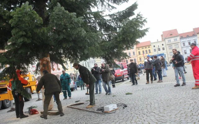 Usazování vánočního stromu na buděcké náměstí, sobota 18. listopadu dopoledne.