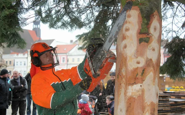 Usazování vánočního stromu na buděcké náměstí, sobota 18. listopadu dopoledne.