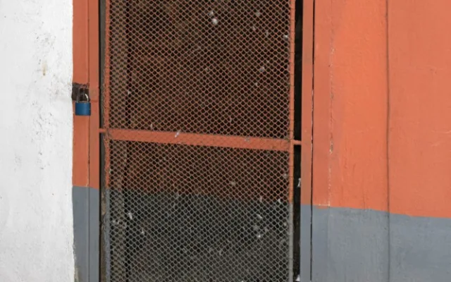 06a