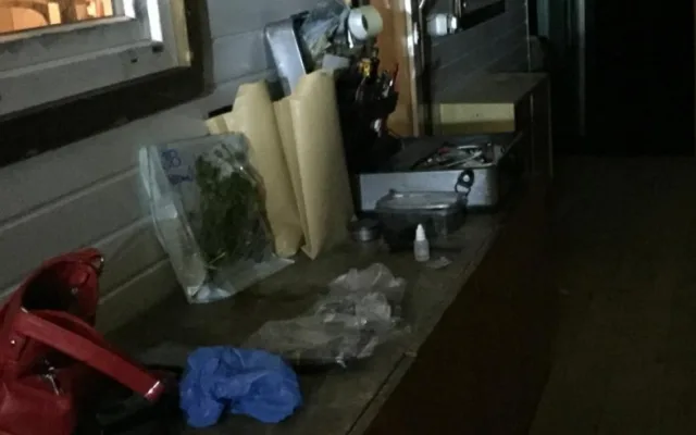 Dvojnásobnou vraždu vyšetřuje na Písecku tým kriminalistů jihočeského policejního ředitelství a píseckého územního odboru. Tým rozplétá od pondělního večera vraždu manželského páru.
