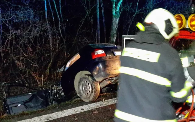 Tragická dopravní nehoda u obce Sedlec na Českobudějovicku si vyžádala jeden lidský život.