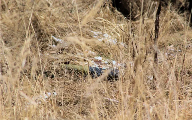 K identifikaci cíle mají vojáci tři minuty
