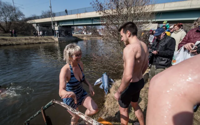 Promrzlé pijavice ukončili otužovací sezonu posledním ponorem do Malše.