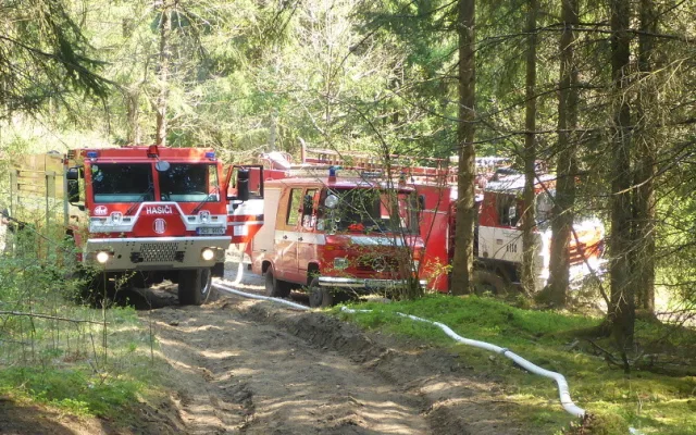 Hasiči likvidovali požár šestnáctihektarového lesa na Českokrumlovsku
