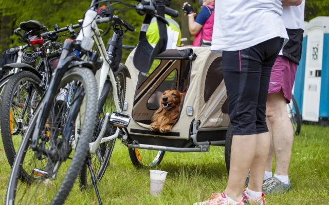 Turistickou sezonu na Hradecku zahájí tradiční výšlap Přes kopec.