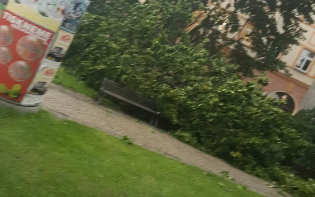 Na Senovážním náměstí  spadl strom.