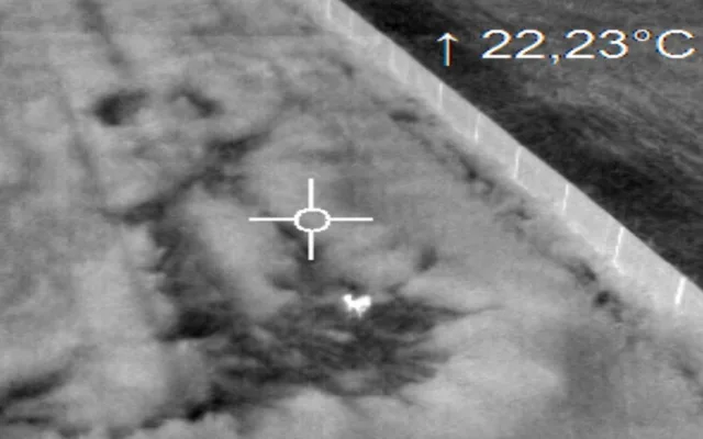 Při sečení luk každý rok zahyne mnoho srnčat. Lidé je proto zachraňují i díky dronům s termovizí.