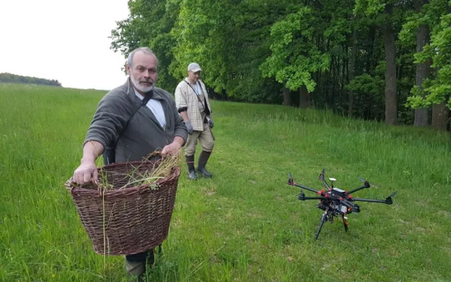 Při sečení luk každý rok zahyne mnoho srnčat. Lidé je proto zachraňují i díky dronům s termo.vizí
