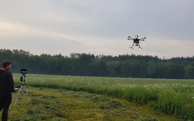 Při sečení luk každý rok zahyne mnoho srnčat. Lidé je proto zachraňují i díky dronům s termovizí.