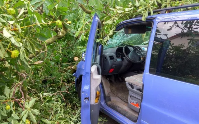 U Tábora spadl strom na projíždějící auto.