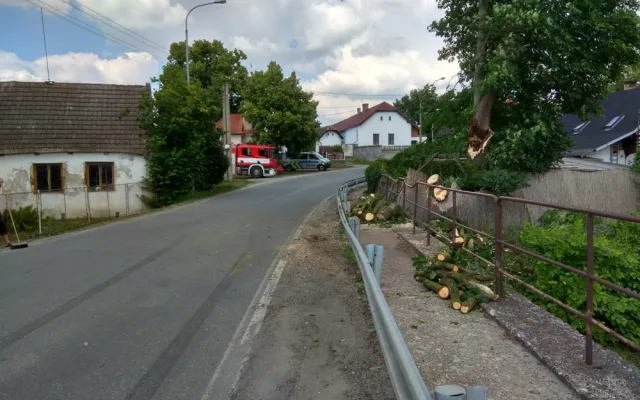 U Tábora spadl strom na projíždějící auto.