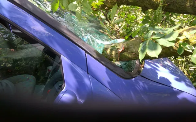 U Tábora spadl strom na projíždějící auto.