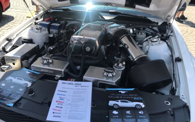 Mustangy na náměstí Přemysla Otakara II.