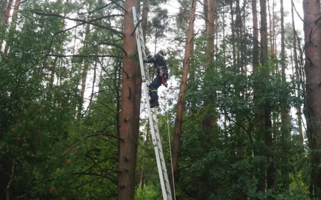 U Dlouhé Lhoty na Táborsku uvízl na stromě paraglidista. Museli ho vysvobodit hasiči.