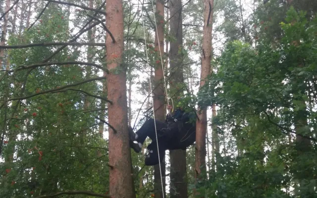 U Dlouhé Lhoty na Táborsku uvízl na stromě paraglidista. Museli ho vysvobodit hasiči.
