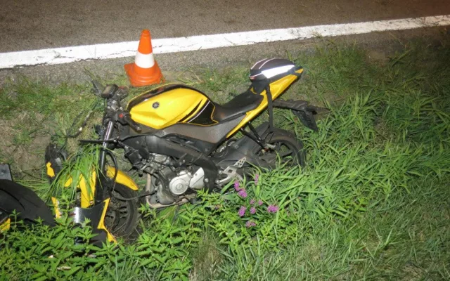 U Branišova došlo k neobvyklé dopravní nehodě. Motorkář se střetl se srnou.